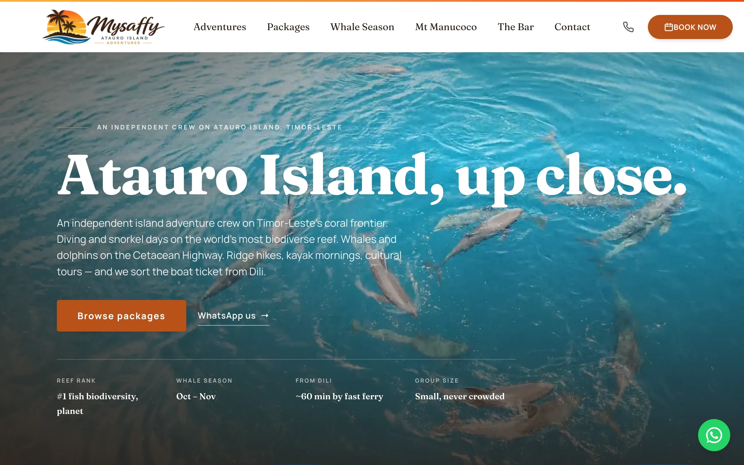Mysaffy Atauro Island Adventures